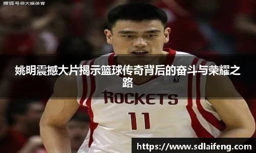 姚明震撼大片揭示篮球传奇背后的奋斗与荣耀之路