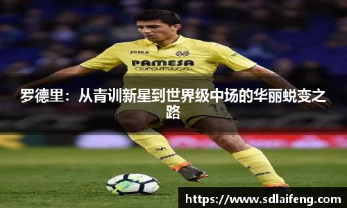 雷竞技raybetapp官网